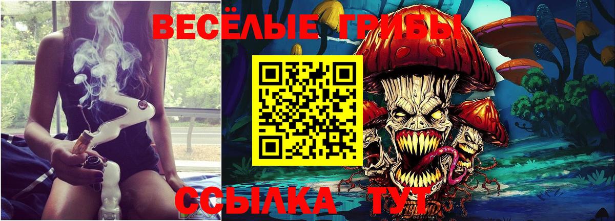 Псилоцибиновые грибы Cubensis  Псилоцибиновые грибы прущие грибы  Апшеронск  Вход с VPN 