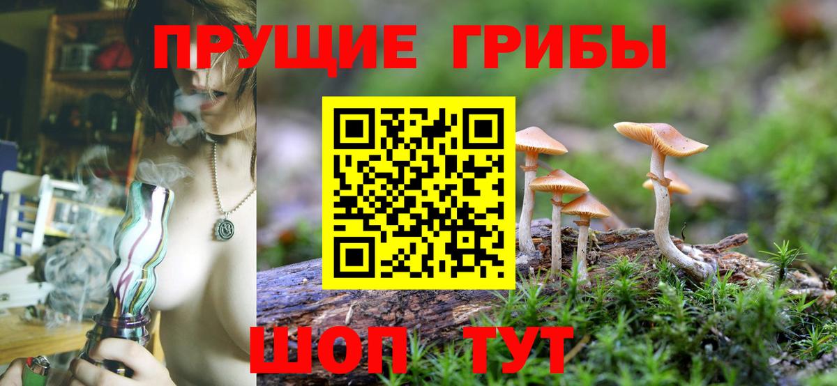 Псилоцибиновые грибы ЛСД Апшеронск